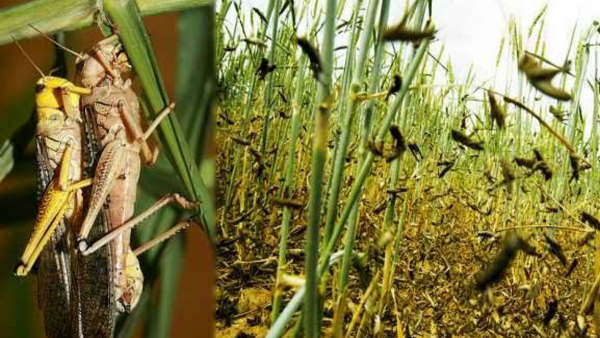 राज्य की आर्थिक स्थिति कमजोर राज्य की आर्थिक स्थिति कमजोर