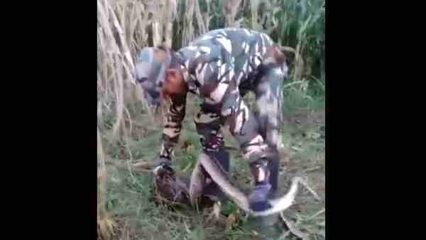 नहीं आ रहा था काबू