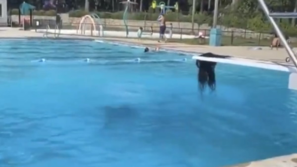 ट्विटर पर आए ऐसे कमेंट