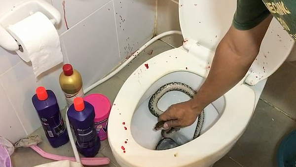 थाइलैंड में पहले भी हो चुका ऐसा