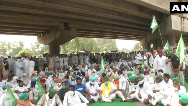 agriculture ordinances, कृषि अध्यादेश, Bharatiya Kisan Union, haryana, punjab, agriculture, farmer, protest, किसान, पंजाब, हरियाणा agriculture ordinances, कृषि अध्यादेश, Bharatiya Kisan Union, haryana, punjab, agriculture, farmer, protest, किसान, पंजाब, हरियाणा