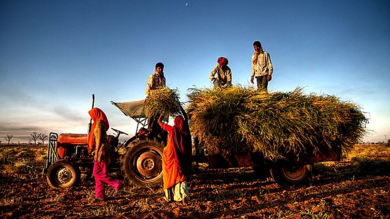 मोदी सरकार ऐसे कर सकती है किसानों की समस्याओं का हल मोदी सरकार ऐसे कर सकती है किसानों की समस्याओं का हल