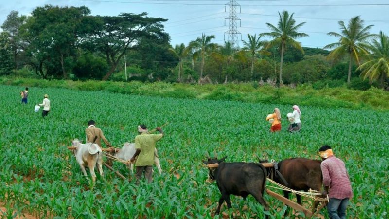 कृषि बिल का विरोध सिर्फ़ पंजाब-हरियाणा में ही क्यों, बिहार-यूपी में क्यों नहीं कृषि बिल का विरोध सिर्फ़ पंजाब-हरियाणा में ही क्यों, बिहार-यूपी में क्यों नहीं
