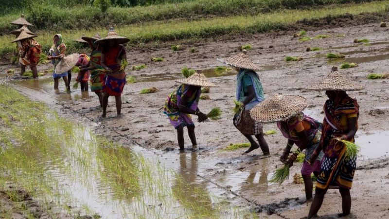 कृषि बिल का विरोध सिर्फ़ पंजाब-हरियाणा में ही क्यों, बिहार-यूपी में क्यों नहीं कृषि बिल का विरोध सिर्फ़ पंजाब-हरियाणा में ही क्यों, बिहार-यूपी में क्यों नहीं