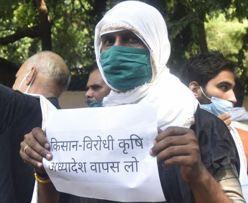 कृषि बिल का विरोध सिर्फ़ पंजाब-हरियाणा में ही क्यों, बिहार-यूपी में क्यों नहीं कृषि बिल का विरोध सिर्फ़ पंजाब-हरियाणा में ही क्यों, बिहार-यूपी में क्यों नहीं