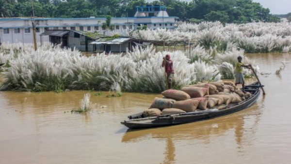 केवल पांच फीसदी धान की ही सरकारी दर पर बिक्री