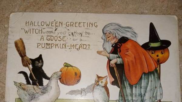 खत के अंदर मिली बिल्ली की तस्वीर खत के अंदर मिली बिल्ली की तस्वीर