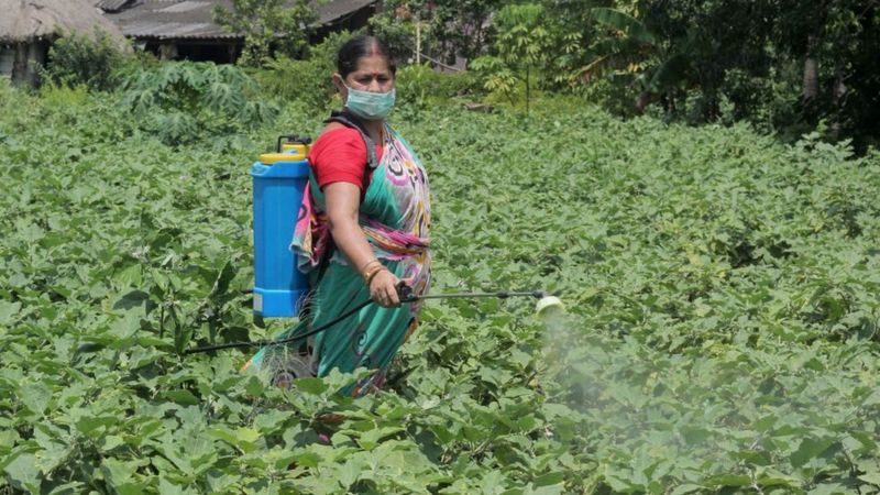 कृषि बिल का विरोध सिर्फ़ पंजाब-हरियाणा में ही क्यों, बिहार-यूपी में क्यों नहीं कृषि बिल का विरोध सिर्फ़ पंजाब-हरियाणा में ही क्यों, बिहार-यूपी में क्यों नहीं