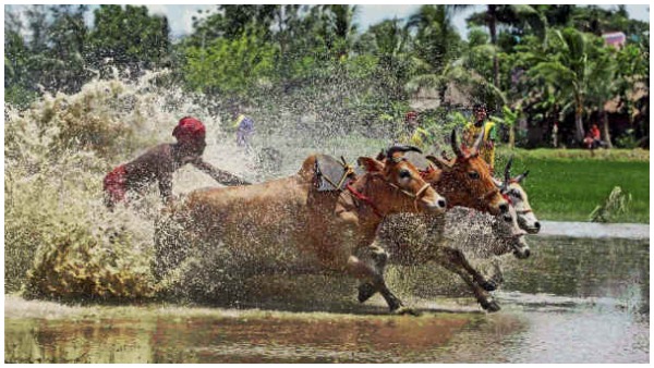 Agriculture bills 2020 को लेकर मचा घमासान