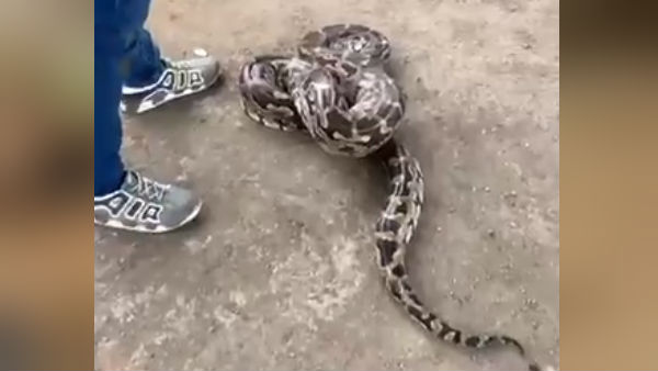 पहिया खोलकर किया रेस्क्यू