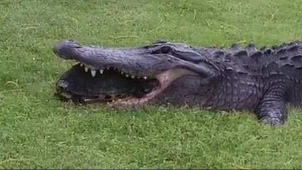 एक और वीडियो वायरल