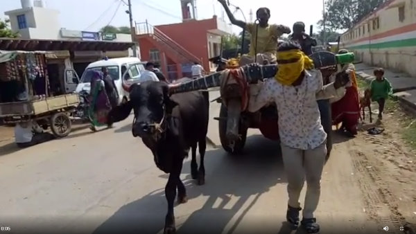  नया बैल खरीदने की क्षमता इस परिवार में नहीं 