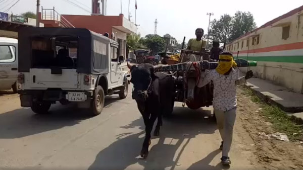 वीडियो राजस्थान के भरतपुर जिले के भुसावर कस्बे का