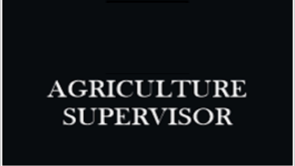 आरएससीआईटी का कोर्स भी किया आरएससीआईटी का कोर्स भी किया