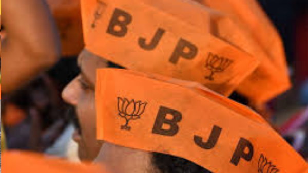 कहां-कहां भाजपा की हुई जीत