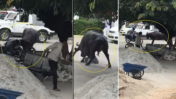 दर्जनभर वाहनों को उलटा-पलटा 