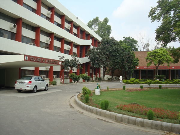 मोबाइल नंबर या ई-मेल पर देंगे सूचना