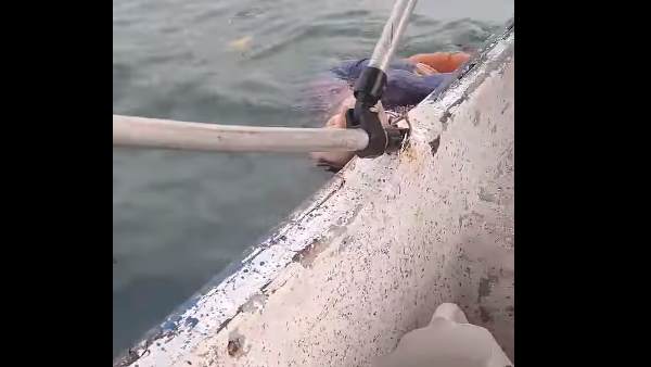 एंजेलिका की बेटी ने क्या कहा?