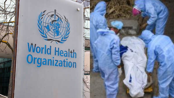 coronavirus coronavirus