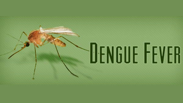 पिछले साल भी दिल्ली CM के नेतृत्व में मिलकर डेंगू को हराया था: गहलोत