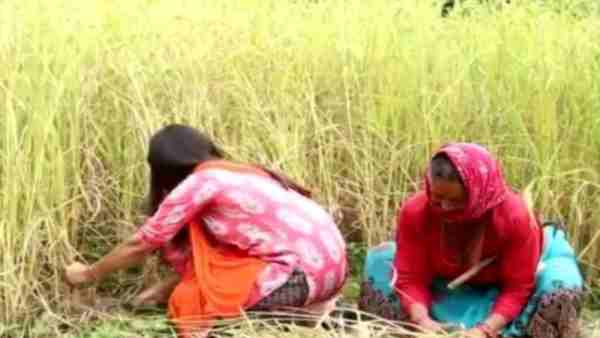 किसानें से जानी उनकी समस्याएं