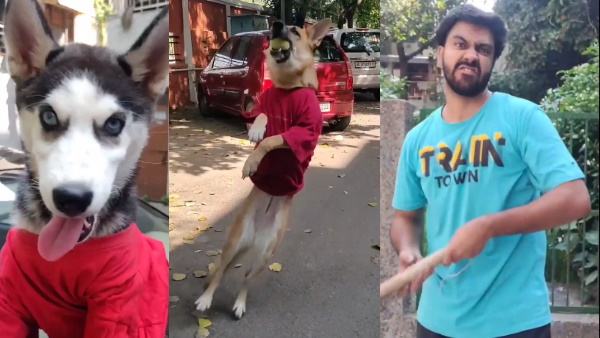 हवा में उछलकर किया कैच