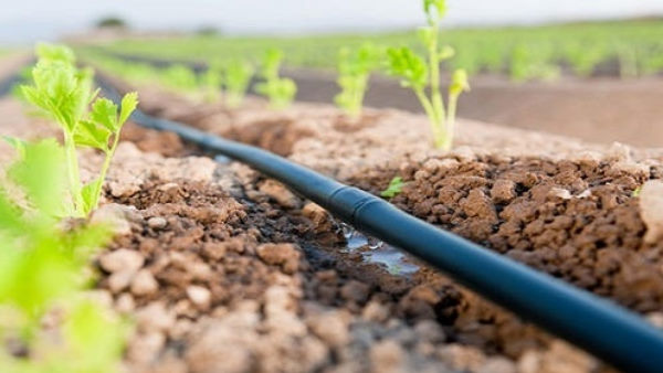  क्या हैं सिंचाई का सांचौर मॉडल