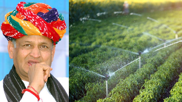 जल संसाधन विभाग की समीक्षा बैठक