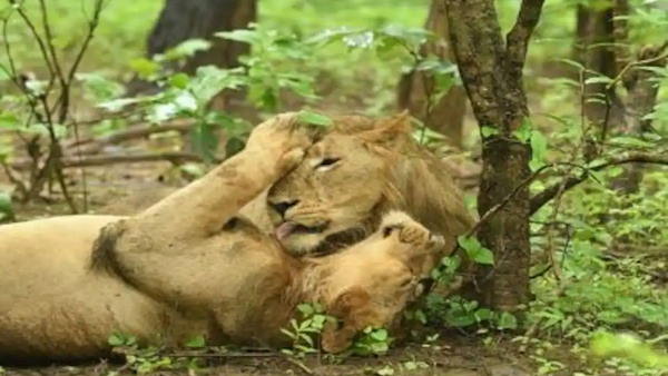 सोशल डिस्टेंसिंग फॉलो करनी होगी