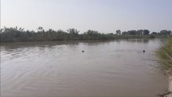 26 घंटे बाद युवती का शव हाथ लगा