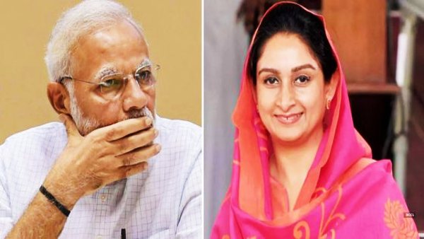 कृषि बिल को लेकर मोदी सरकार से अलग हो गई थी अकाली दल कृषि बिल को लेकर मोदी सरकार से अलग हो गई थी अकाली दल