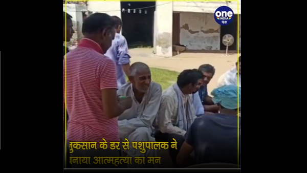 Charkhi Dadri: Thieves stole 17 buffaloes from a dairy in village