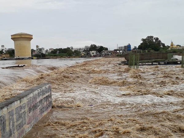 पगडिय़ों को रस्सी की तरह बांधा था