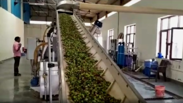 राजस्थान के किसानों में खुशी की लहर