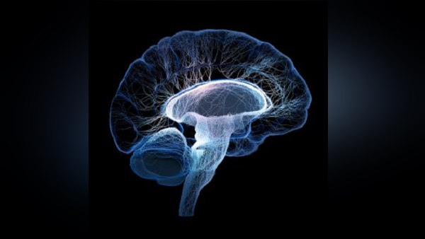 surendranagar gujarat 19 year old keval patel organ donation to save lives of five people surendranagar gujarat 19 year old keval patel organ donation to save lives of five people