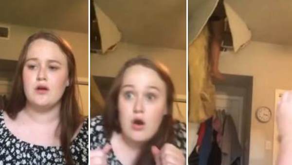 लाखों लोगों ने देखा वीडियो लाखों लोगों ने देखा वीडियो