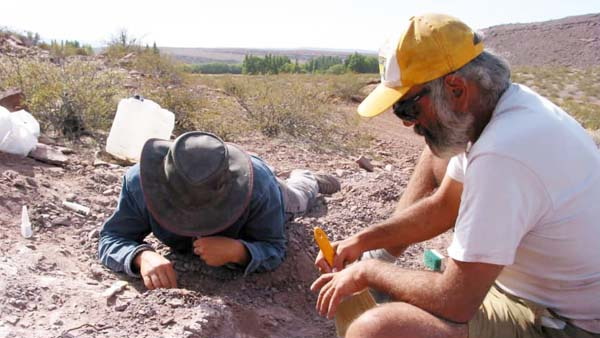 उधमपुर जिले में पहले भी मिले हैं जीवाश्म