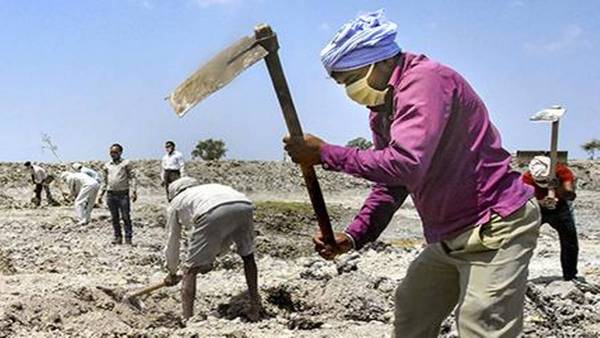 जॉब कार्ड में पिता और पित्र की एक ही उम्र