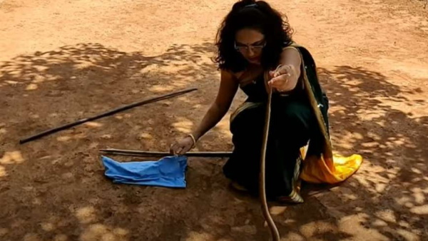 साड़ी पहनकर सांप पकड़ने पहुंची निर्जरा