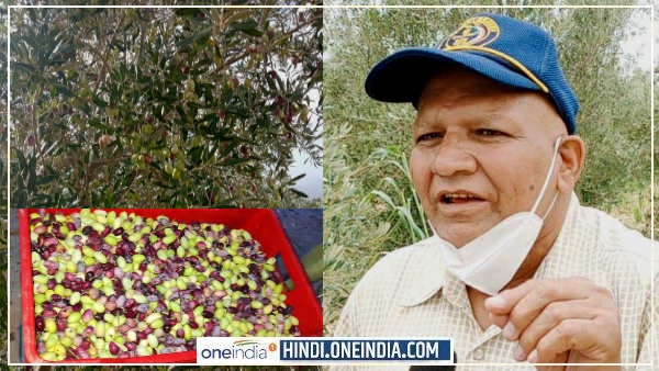 30 बीघा जमीन को 'सोना' बनाने की कहानी 30 बीघा जमीन को 'सोना' बनाने की कहानी