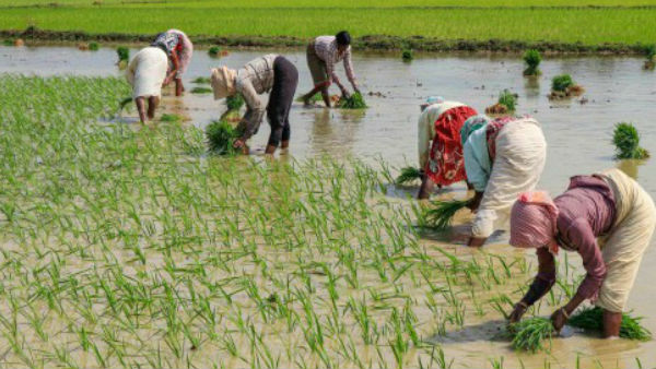क्या है पीएम किसान सम्मान निधि योजना