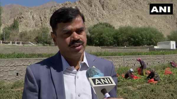 माइनस 25 डिग्री में भी सेना को मिलेगी ताजी सब्जियां