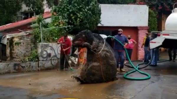 वायरल हो रहा है वीडियो वायरल हो रहा है वीडियो