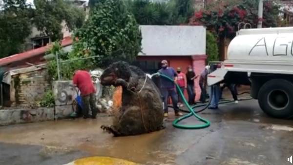 क्या बोले लोग? क्या बोले लोग?