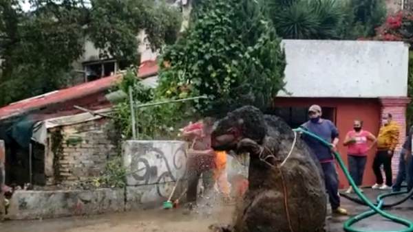 कैसे खोया था चूहे का प्रॉप? कैसे खोया था चूहे का प्रॉप?