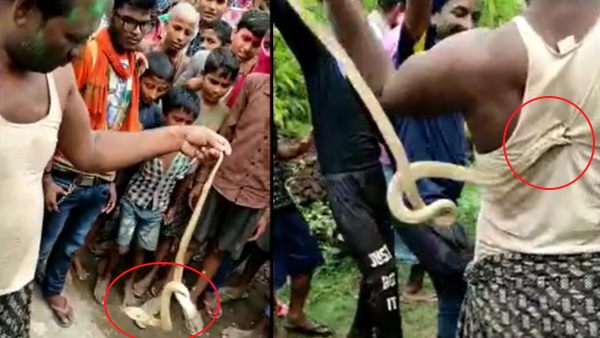 सांपों को पकड़ने में माहिर थे शंभू सिंह