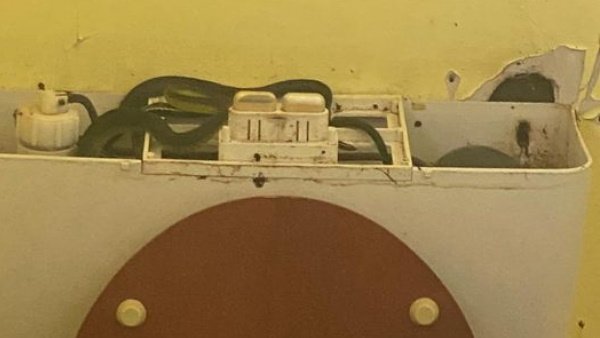 टॉयलेट फ्लश के अंदर था सांप का परिवार