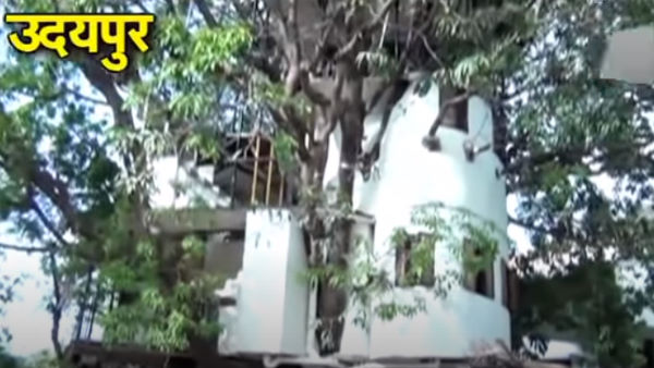 उदयपुर के चित्रकूट में बना है ट्री हाउस