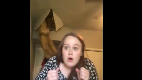 टिकटॉक पर अपलोड किया वीडियो टिकटॉक पर अपलोड किया वीडियो