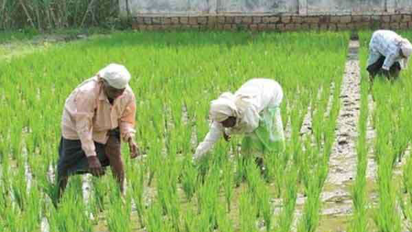 क्या निकला निष्कर्ष?